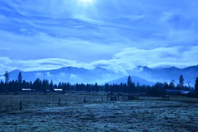 DSC_5823 (Large).JPG